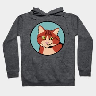 Confused Cat - Funny Animal Design Hoodie